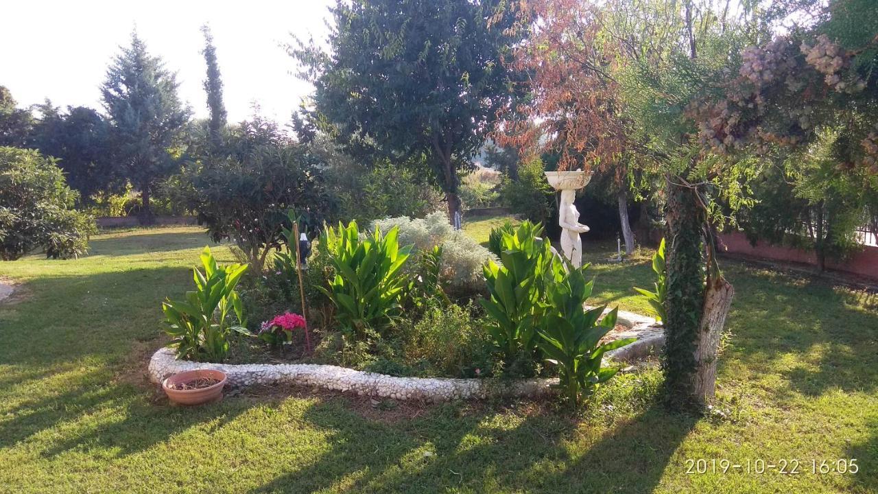 Villa Elly 잰티 외부 사진